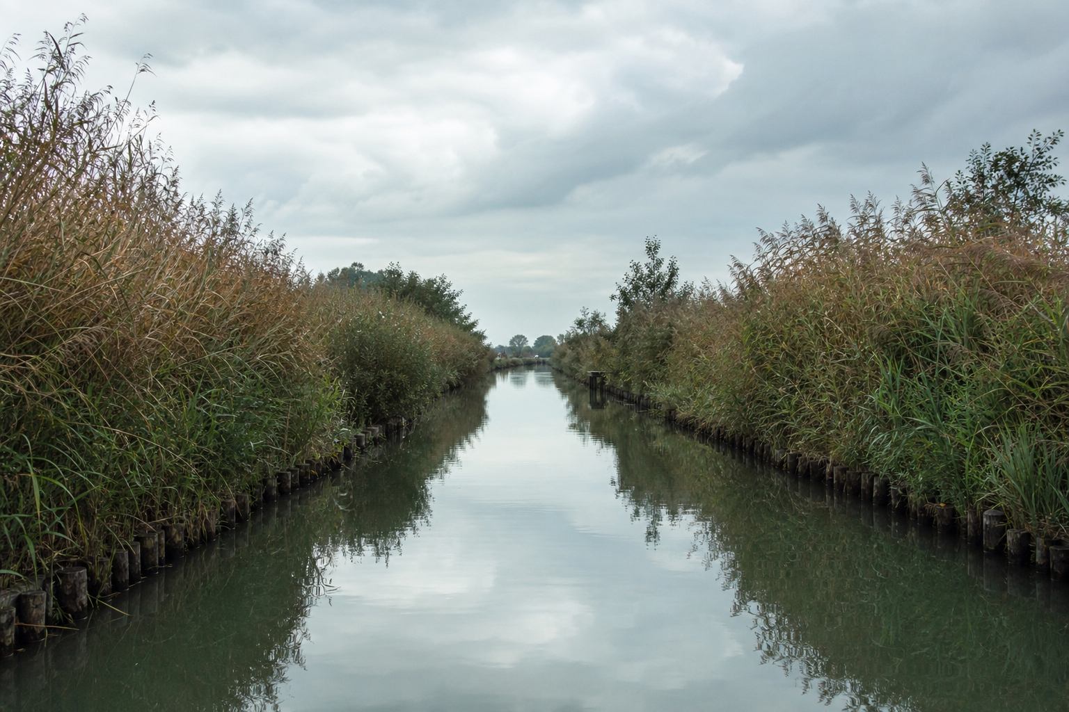 Kanal zwischen Schilf unter niedrigem Himmel