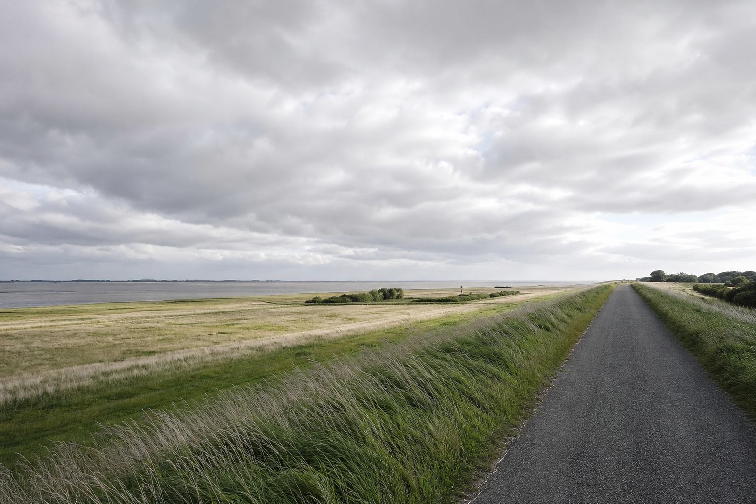 Offene Wiese und Deichlinie unter weitem Himmel